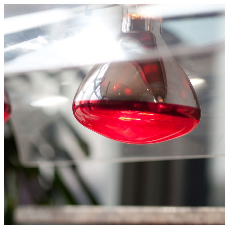 Animal Red Infrared Heat Lamp