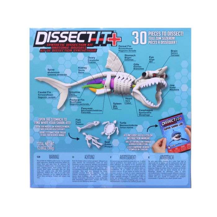 Dissect It Shark Kit