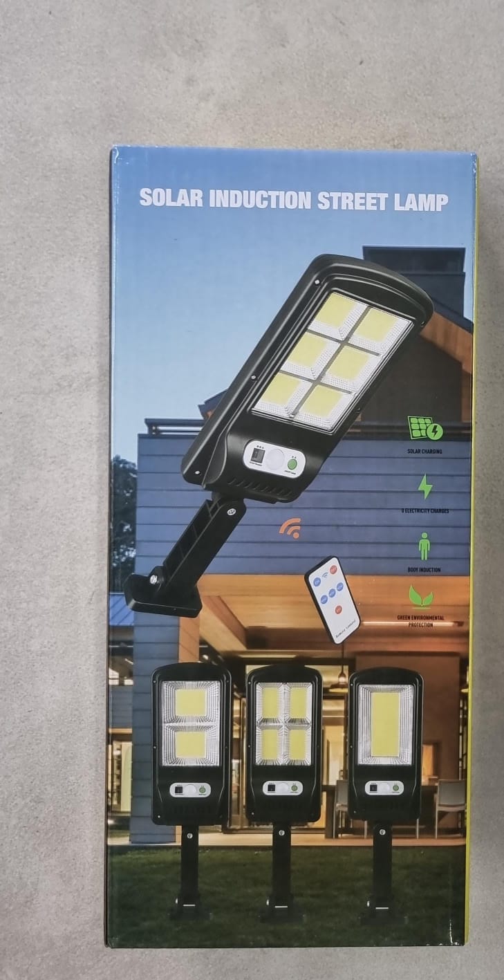Solar Induction Street Lamp