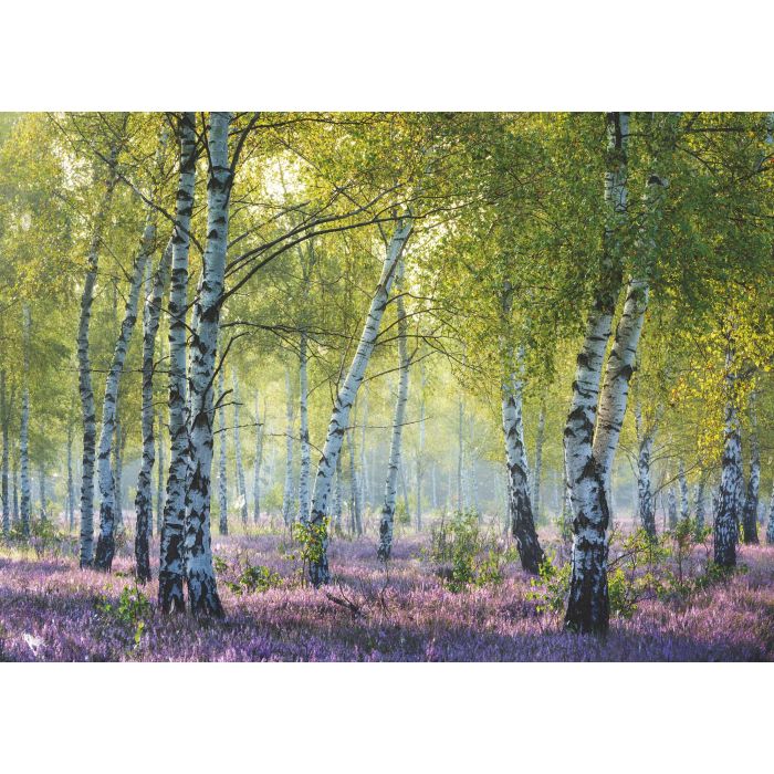 Ravensburger 1000pc Puzzle Birkenwald