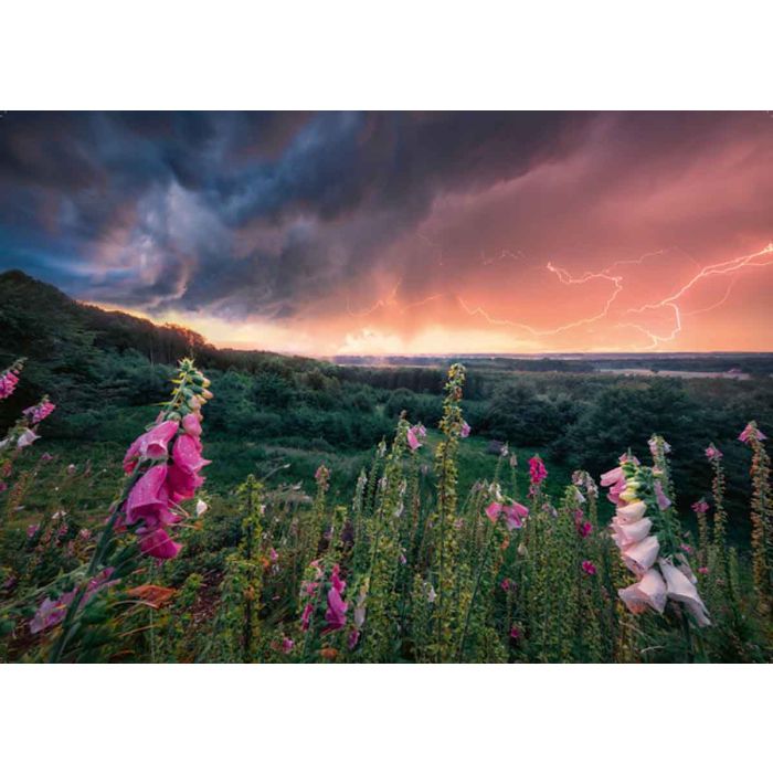 Ravensburger 1000pc Puzzle Dreamy Thunder